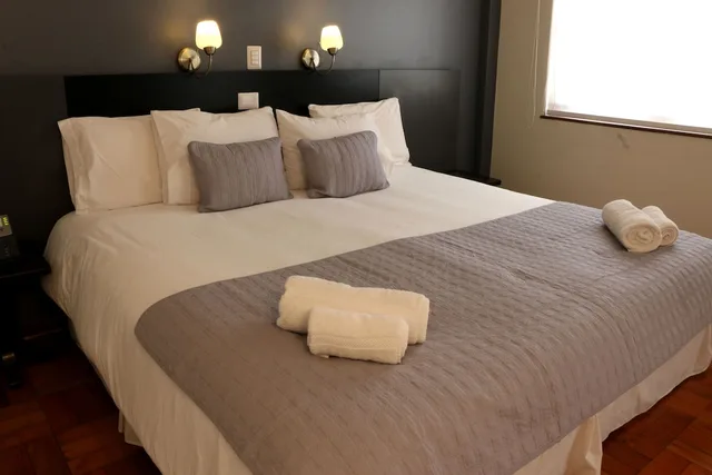 Standard, Double Bed, Hotel Plaza Nunoa 1/3