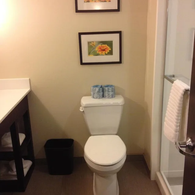 جناح بسرير كوين، Comfort Suites Youngstown North 5/5