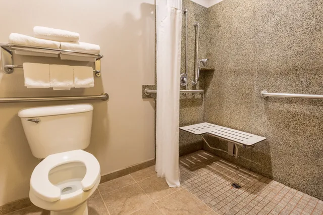 غرفة قياسية بسرير كينج في طابق منخفض لذوي الإعاقة، Holiday Inn Express Hotel and Suites Manteca City Center 9/10
