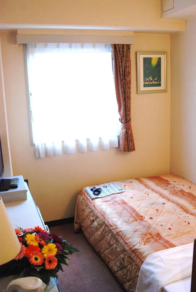 غرفة صغيرة مزدوجة، Business Hotel Nissei 1/1