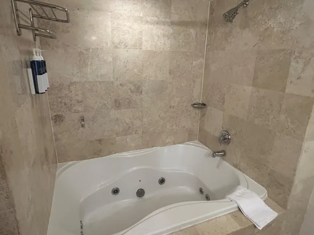 غرفة بسرير كينج يُسمح فيها بالحيوانات الأليفة بحوض جاكوزي، Best Western Premier Plainview-Long Island Hotel 3/3