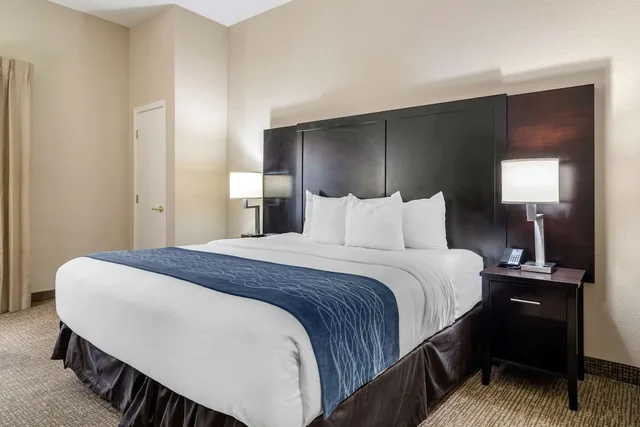 غرفة قياسية بسرير كينج، Comfort Inn & Suites Atlanta/Smyrna 3/6