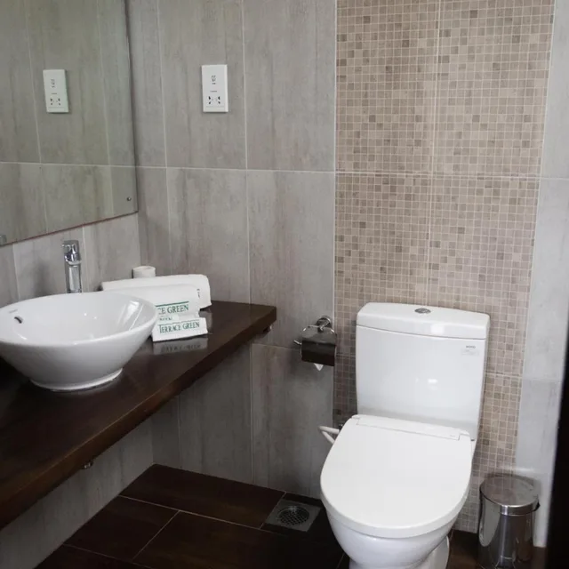 غرفة بريميير بشرفة، Terrace Green Hotel 9/10