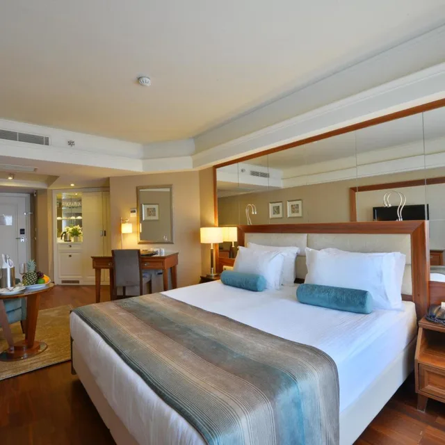 غرفة قياسية بسرير مزدوج أو سريرين منفصلين، Marigold Thermal And Spa Hotel Bursa 7/10