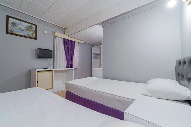 Park, Economy, 1 Double and 1 Single Bed, No Balcony، Sayanora Hotel & Park 1/7