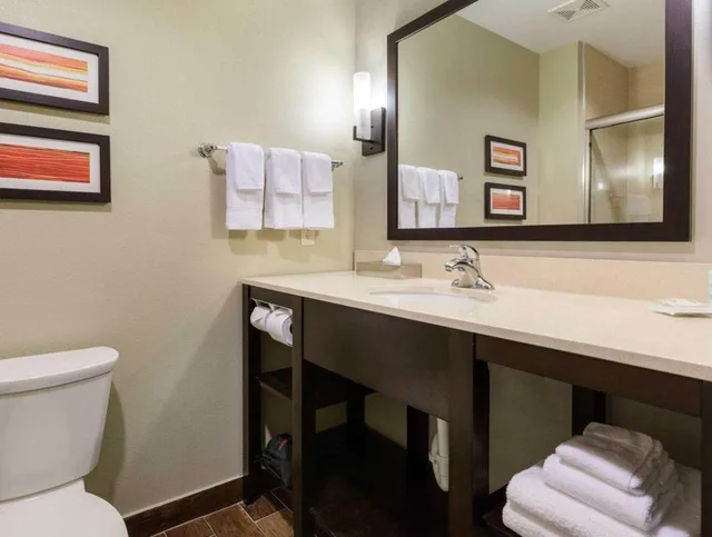 غرفة بسريرين كوين لذوي الإعاقة، Comfort Suites near Westchase on Beltway 8 3/3
