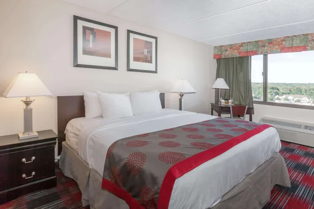 Efficiency, King Bed, Ramada Plaza Albany 1/1