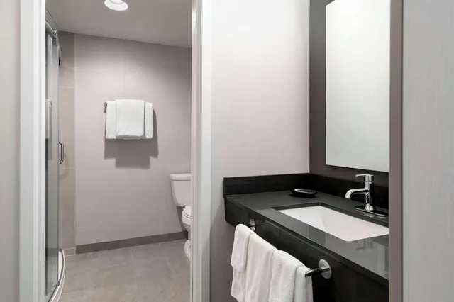 1 Bedroom, Suite, King Bed, Courtyard Pittsburgh Airport 3/5