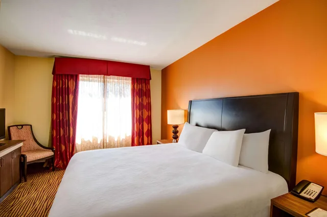 غرفة ديلوكس بسرير كينج لذوي الإعاقة، Hilton Garden Inn Tampa Ybor Historic District 2/4
