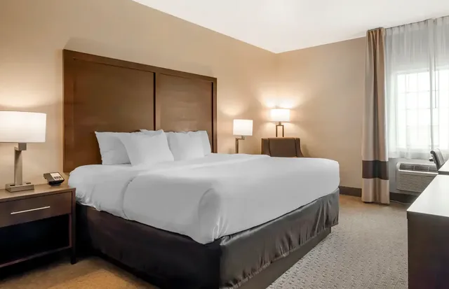 غرفة بسرير مزدوج لذوي الإعاقة، Comfort Inn & Suites Macon, MO 4/6