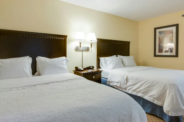 استوديو بسريرين كوين مع أريكة، Hampton Inn & Suites Mt. Juliet 1/2
