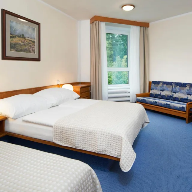Economy, Suite, Single Bed, Pool Access، Wellness Hotel Svornost 1/2