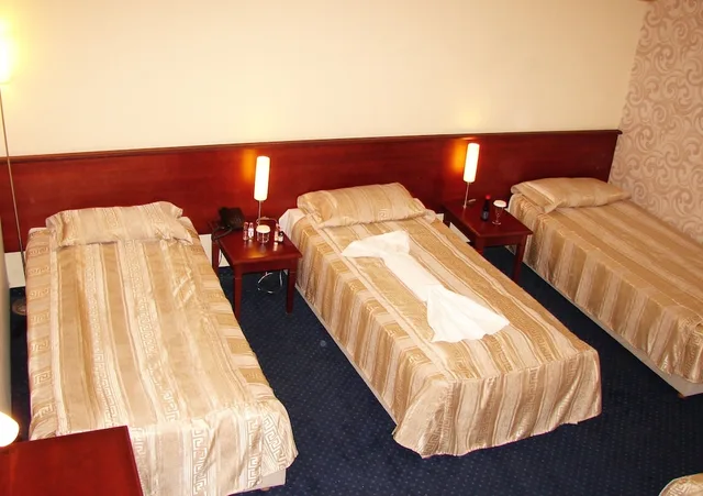 غرفة قياسية ثلاثية بثلاثة أسرّة بإطلالة على المدينة، Centar Hotel 2/4