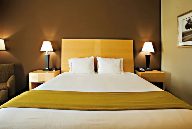 غرفة قياسية بسرير كينج، Holiday Inn Express Hotel And Suites Borger 2/3