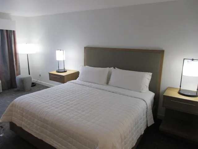 جناح بسرير كينج مع أريكة بمنطقة جلوس لذوي الإعاقة، Holiday Inn Express Hotel And Suites Houston Downtown Convention Center 1/3