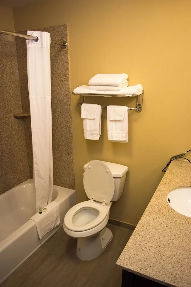 غرفة ديلوكس بسرير كينج، Surestay Hotel by Best Western Cotulla 5/7