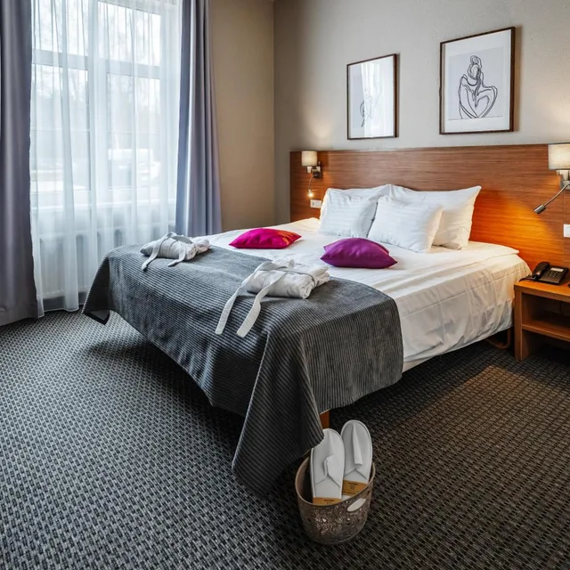 غرفة كومفورت بسرير مزدوج، Sigulda Hotel 7/10