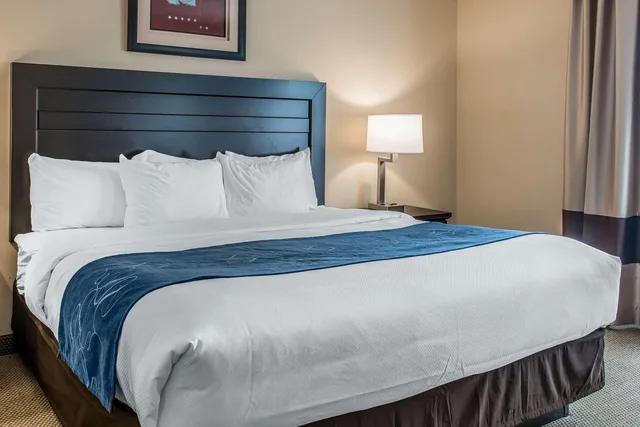 Upgrade, Suite, 2 King Beds، Comfort Suites South Bend Near Casino 4/5
