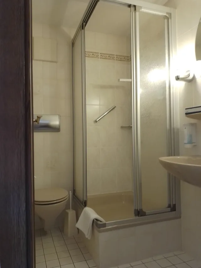 Retro, Compact, Single, Single Bed, No Balcony، Hotel Waldblick 7/10