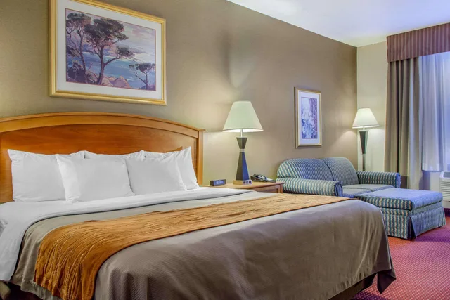 غرفة بسرير مزدوج، Comfort Inn & Suites I-25 near Spaceport America 4/4