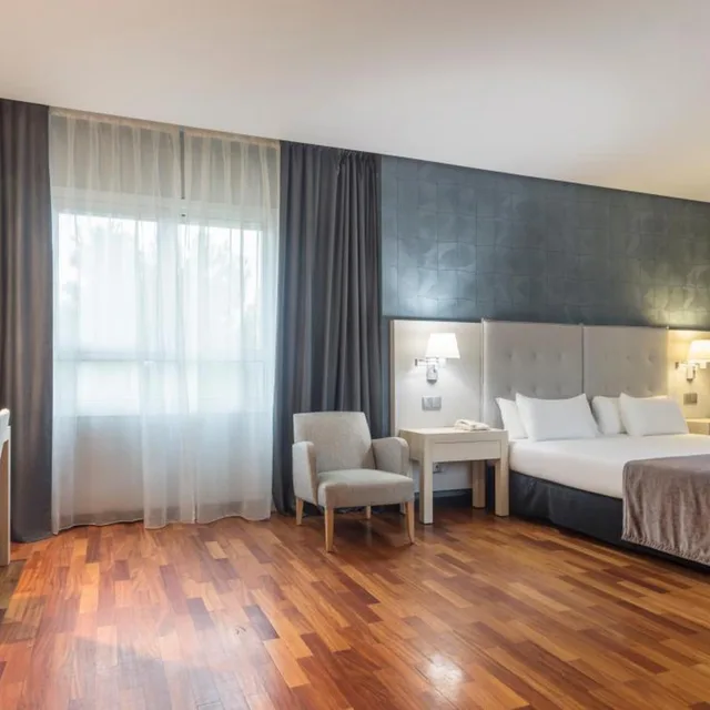 غرفة سوبيريور بسرير مزدوج أو سريرين منفصلين، Ilunion Pio Xii Hotel 1/10