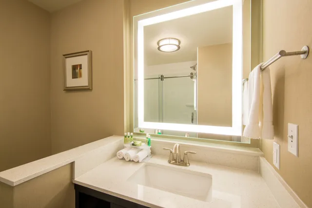 غرفة قياسية بسرير كينج، Holiday Inn Express & Suites Denver South - Castle Rock 6/7