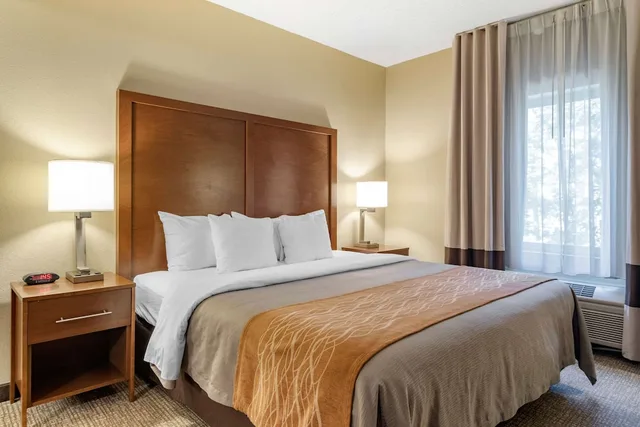 جناح بسرير كينج مع أريكة، Comfort Inn Suites Suwanee Sugarloaf 6/10