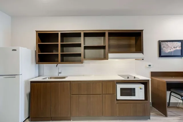 جناح بسرير كوين لذوي الإعاقة، WoodSpring Suites Smyrna-La Vergne 6/6