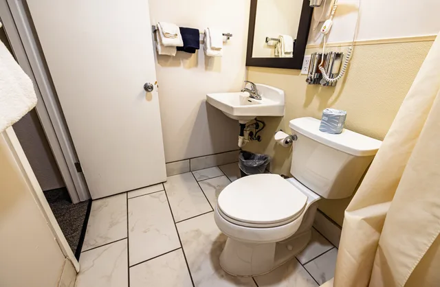 غرفة قياسية بسرير مزدوج، Stovepipe Wells Village Hotel 5/5