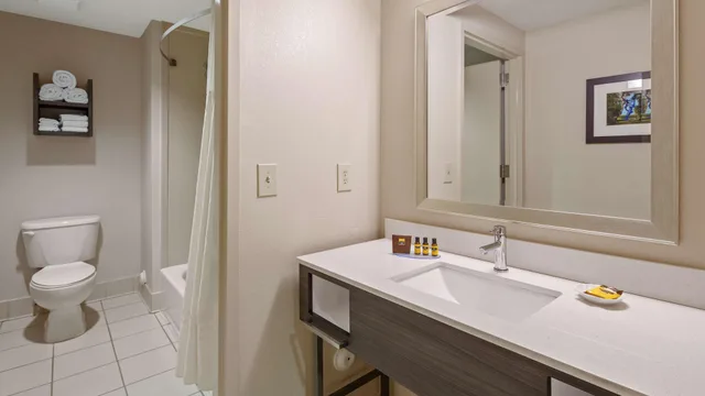 جناح بسرير كينج، Best Western Plus Kendall Hotel & Suites 6/8