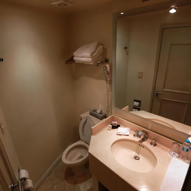 غرفة قياسية، Hotel Casa Torres 6/7