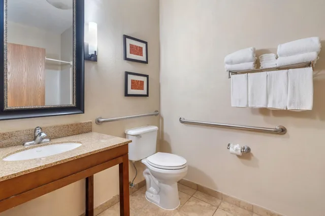 Efficiency, Suite, Multiple Beds، Comfort Suites Mckinney Allen 4/4