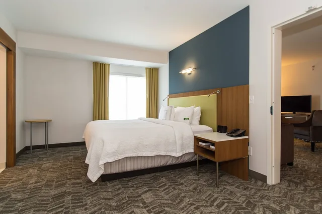جناح بسرير كينج بغرفة نوم واحدة مع أريكة، SpringHill Suites by Marriott Charlotte Ballantyne 2/5