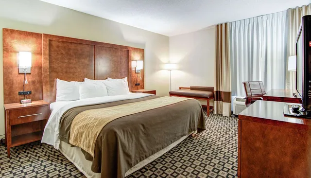 جناح بسرير كينج، Comfort Inn & Suites Athens North GA 1/2