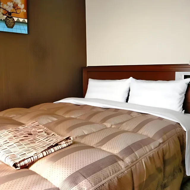 Semi Room, Standard, Double Bed, Smoking، Hotel Route-Inn Mikawa Inter 1/1