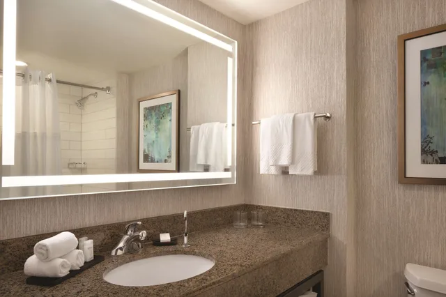جناح بسريرين مزدوجين بإطلالة على المتنزه مع أريكة، Embassy Suites by Hilton Atlanta at Centennial Olympic Park 4/5