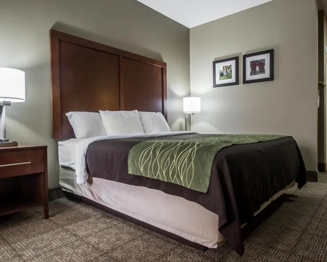 Room, King Bed, Accessible, Comfort Inn Amite City 6/6