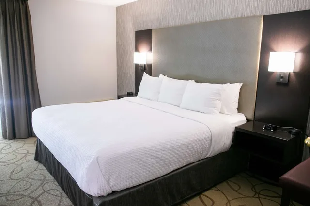 غرفة قياسية بسرير كينج بإطلالة على الفناء، Best Western Plus Burley Inn & Convention Center 6/10