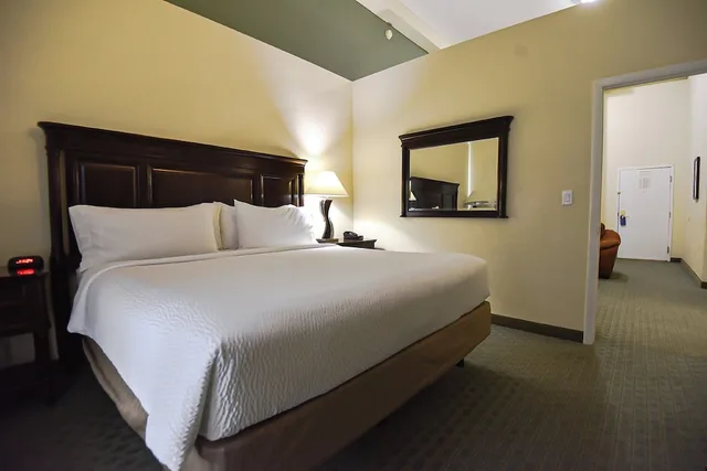 جناح بسرير كينج بغرفة نوم واحدة مع أريكة، Holiday Inn Express and Suites Cocoa 6/10