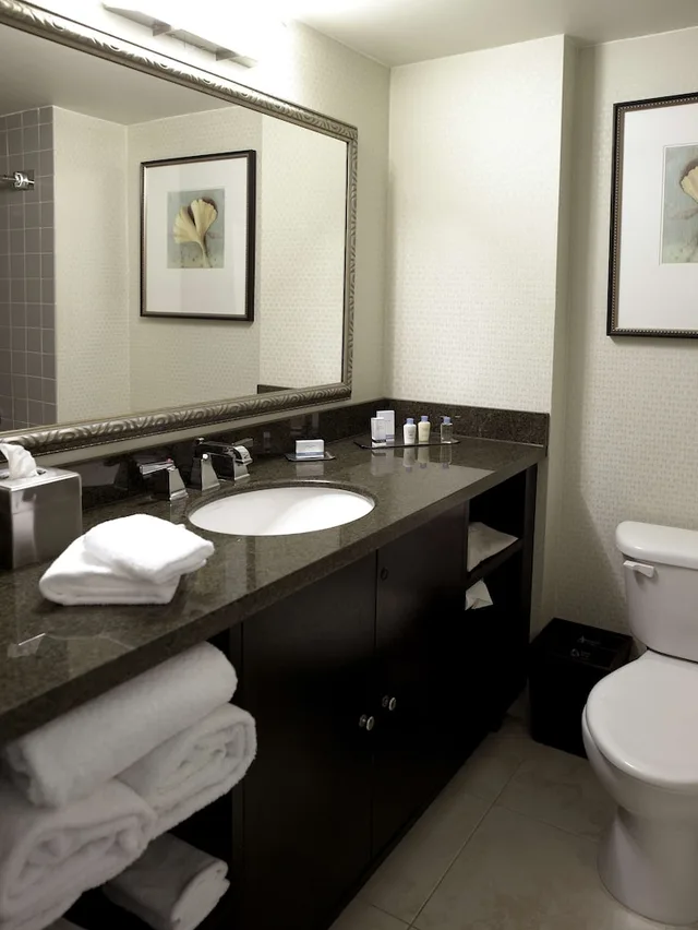 غرفة قياسية بسرير كينج، Doubletree By Hilton Charlotte Airport Hotel 5/5