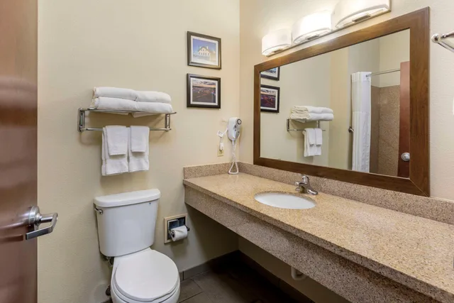 جناح بسرير كينج، Comfort Suites CS-SU Cullman I-65 Exit 310 4/4