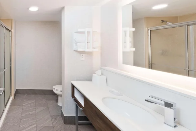 جناح استوديو بسرير كينج مع أريكة، Hampton Inn And Suites Lanett West Point 4/4