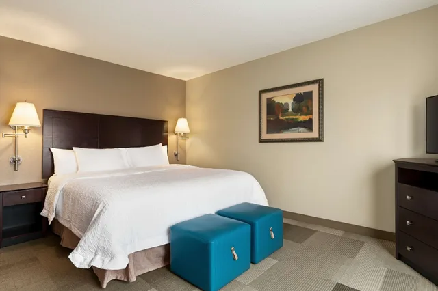 غرفة قياسية بسرير كينج، Hampton Inn & Suites Atlanta Airport West/Camp Creek Pkwy 4/7