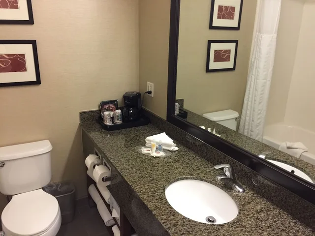 جناح بسرير كينج مع أريكة لذوي الإعاقة، Comfort Suites Near Six Flags Magic Mountain 8/8