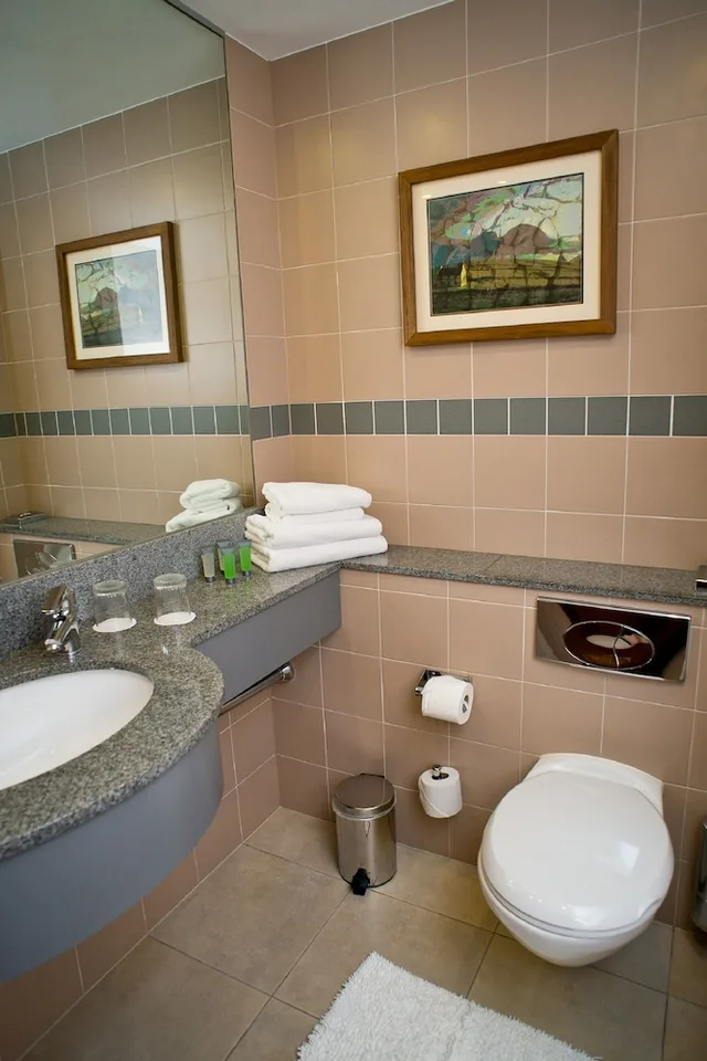 غرفة ديلوكس بسريرين مزدوجين، Maldron Hotel Sandy Road Galway (ex. Pillo Hotel Galway) 7/7