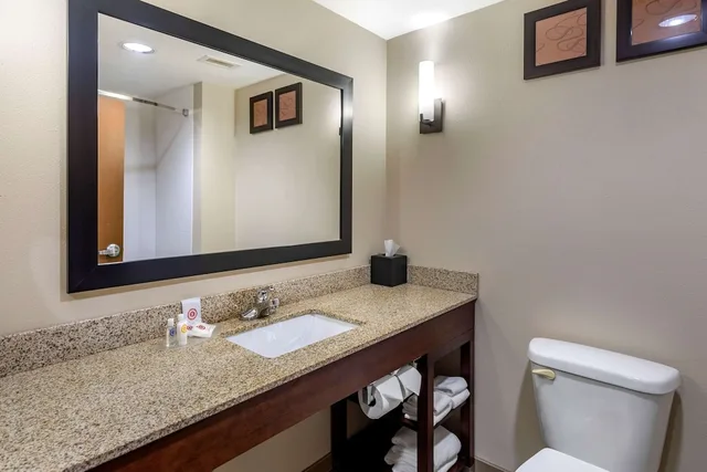 جناح بسريرين مزدوجين مع أريكة، Comfort Suites Manchester 4/4