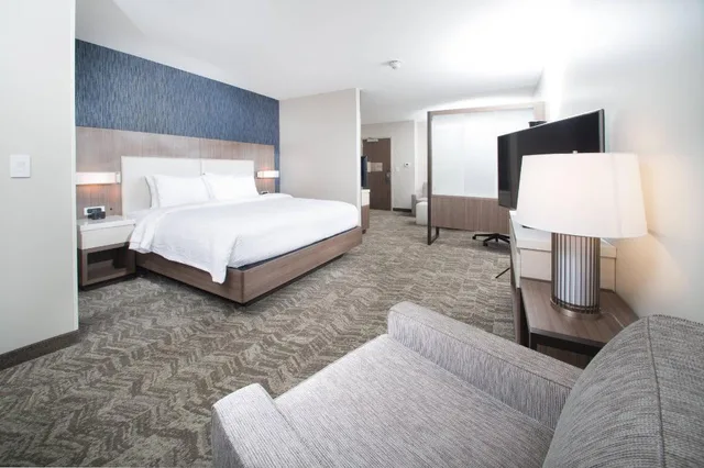 جناح كبير بسرير كينج مع أريكة بحوض جاكوزي، Springhill Suites By Marriott Fayetteville Fort Bragg 2/3
