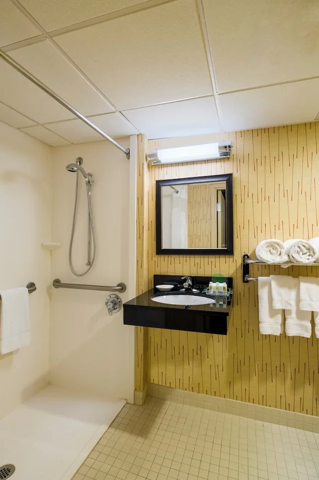 غرفة قياسية بسرير كينج لذوي الإعاقة، Holiday Inn Norwich 6/6