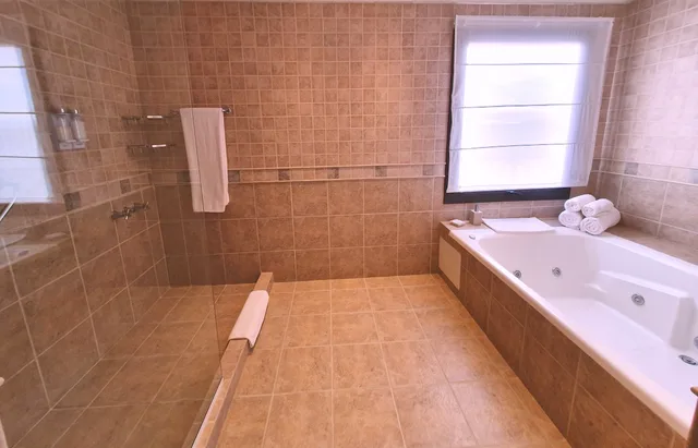 Presidential Suite, Xelena Hotel and Suites 7/9