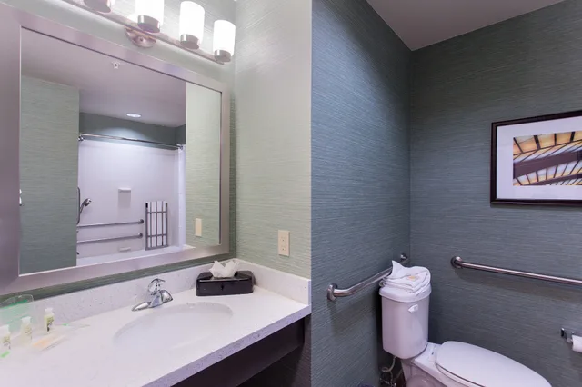 غرفة قياسية بسريرين كوين لذوي الإعاقة، Holiday Inn Texarkana Arkansas Conv Ctr 5/7